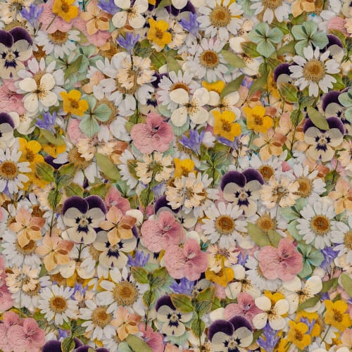 Floral Meadow Elegance