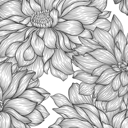Dahlia Lines, Black