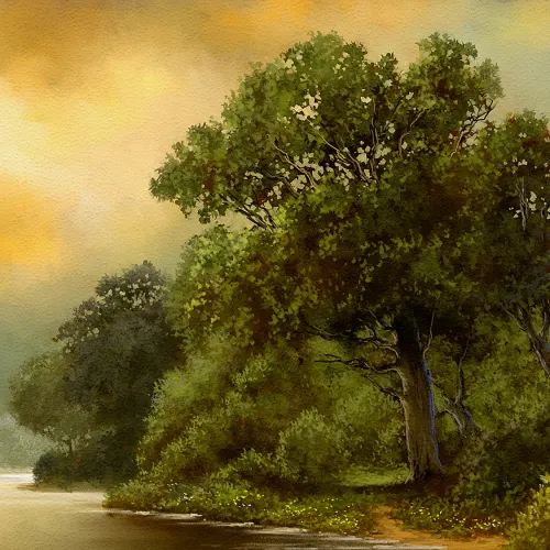 Embrace the Calm of the Forest