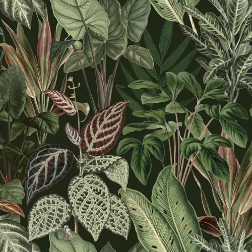 Image Botanisch