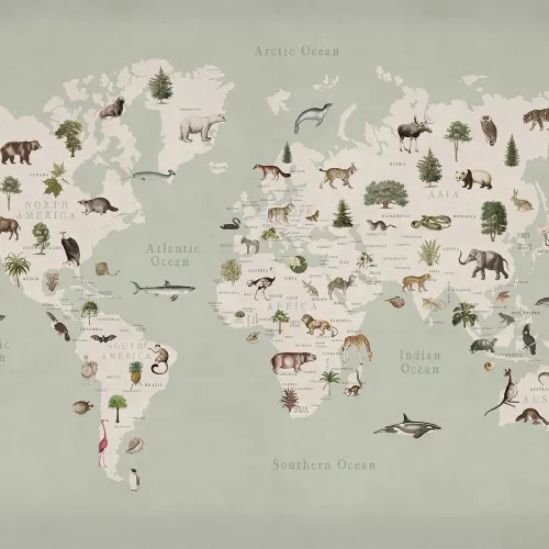 Image Animales