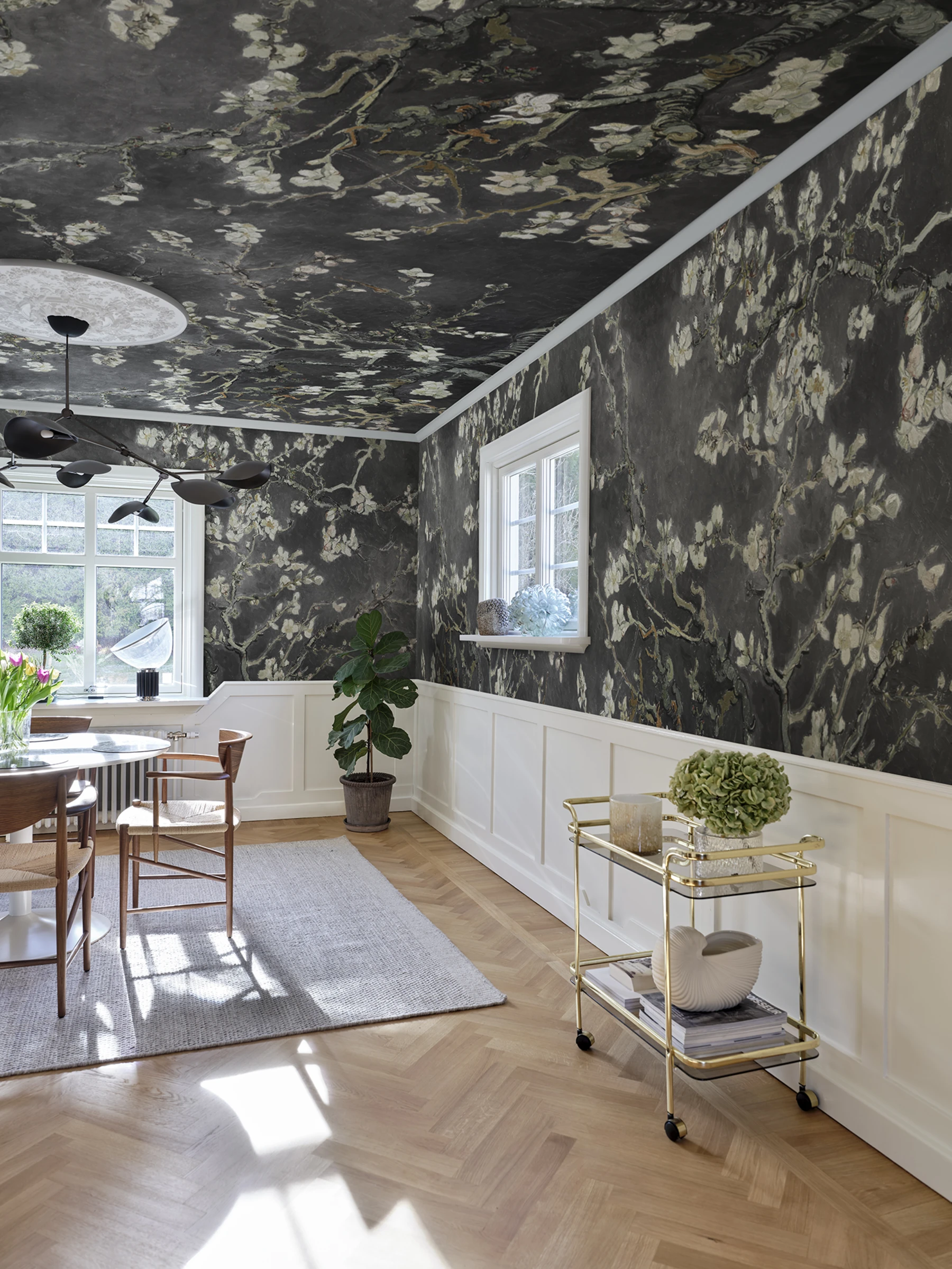 Almond Blossom, Black
